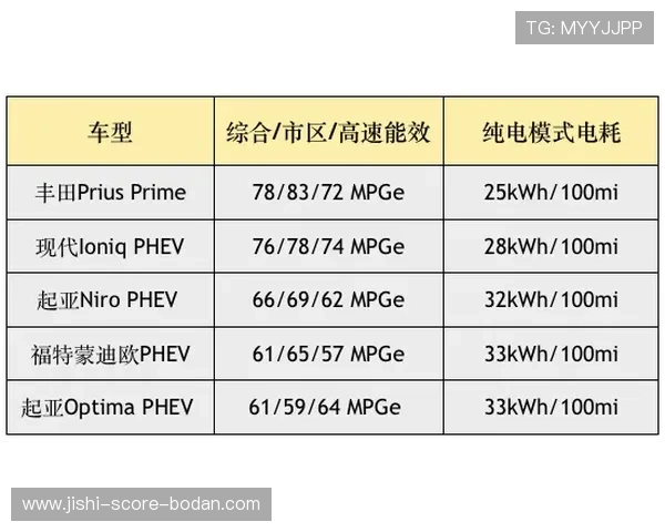 波胆赔率查询避坑指南泛体育平台对比评测